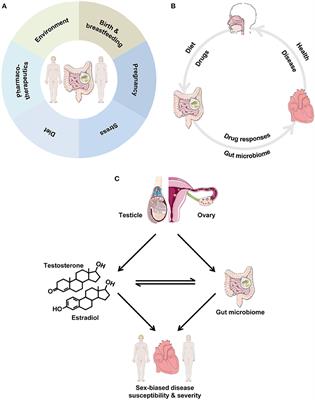 Role of Biological Sex in the Cardiovascular-Gut Microbiome Axis